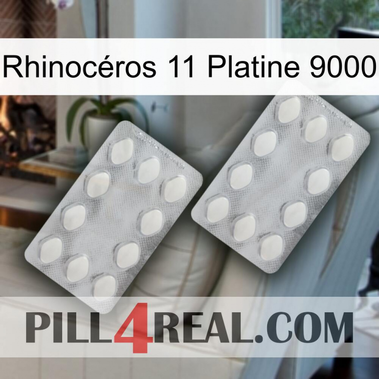 Rhinocéros 11 Platine 9000 17